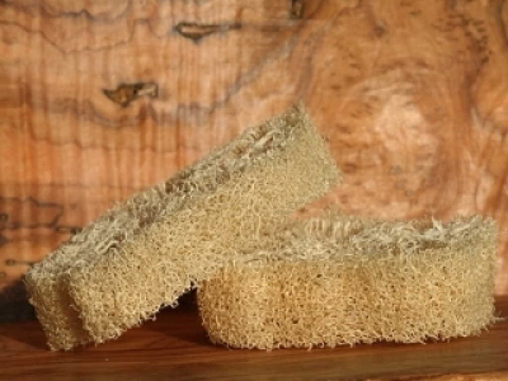 Luffa slice